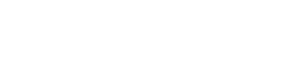 Evnex logo